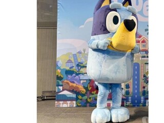 BLUEY PERSOANGEM VIVO BELO HORIZONTE E REGIO CentroSul Servicos para festas infantis e eventos no [***] 