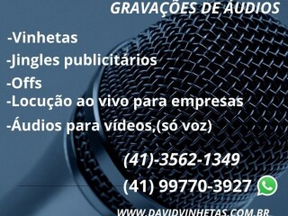 Gravaco de Vinhetas com locutor profissional Porto Velho RO Profissionais liberais no [***] 