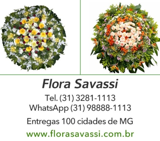 terra-santa-cemitrio-parque-sabar-mg-floricultura-coroas-centrosul-servicos-especializados-no-282897537-big-0