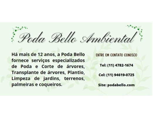 poda-bello-cortamos-e-podamos-rvores-outros-bairros-sao-paulo-sp-servicos-especializados-no-322504138-big-0