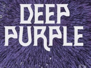 TRANSPORTE DEEP PURPLE EM SO PAULO Campinas SP Excurses e aluguel de vans no [***] 