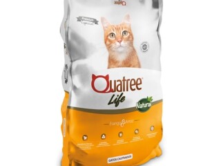 Raco Quatree Life Gatos Castrados 20 KG Sem Transgnicos Outros Bairros Belo Horizonte MG Pet shops e veterinrios Outros Bairros Belo Horizonte MG no [***] 