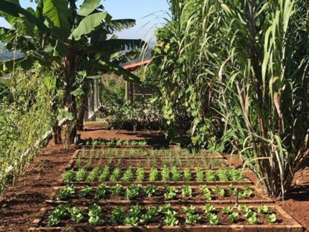 chacara-sitio-e-rancho-de-temporada-em-planaltina-brasilia-distrito-federal-melhor-chacara-da-regiao-hospedagem-para-ate-200-pessoas-chacara-sunset-em-brasilia-df-big-3