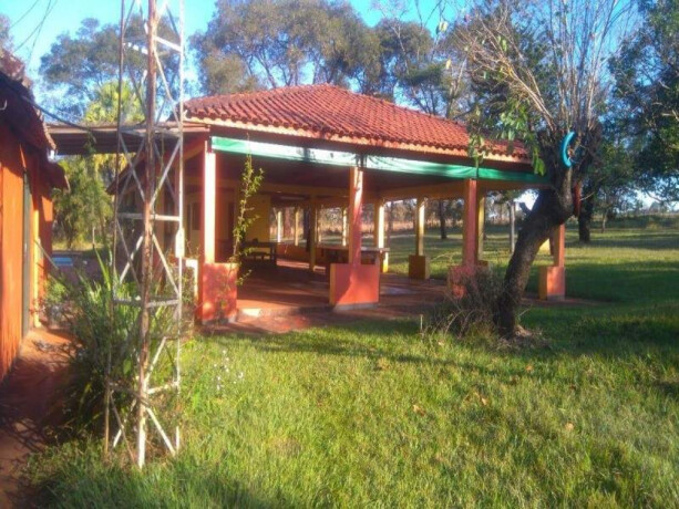 chacara-sitio-e-rancho-de-temporada-em-barretos-barretos-sao-paulo-chacara-rural-big-2