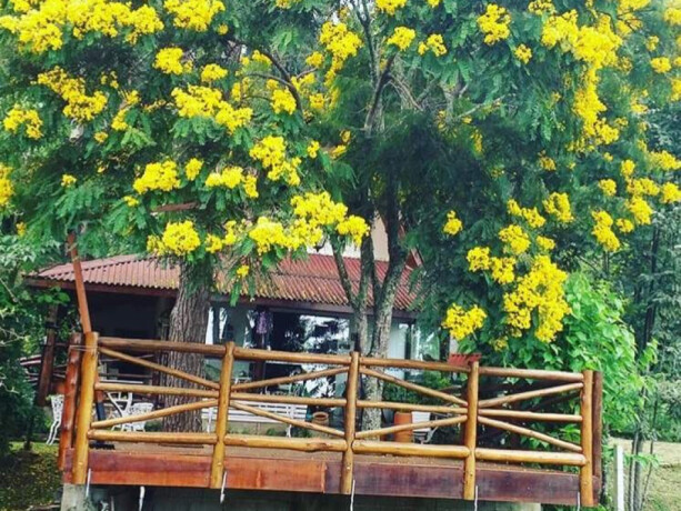 chacara-sitio-e-rancho-de-temporada-em-barrado-campos-do-jordao-sao-paulo-casa-da-floresta-em-campos-do-jordao-sua-melhor-hospedagem-big-3