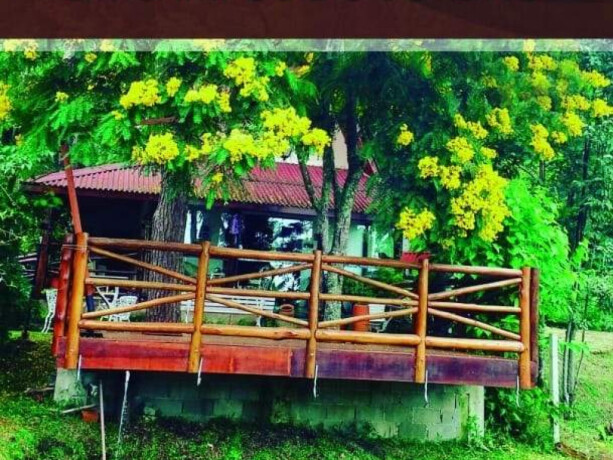 chacara-sitio-e-rancho-de-temporada-em-barrado-campos-do-jordao-sao-paulo-casa-da-floresta-em-campos-do-jordao-sua-melhor-hospedagem-big-1