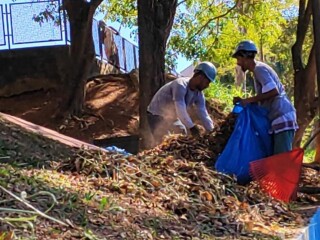 Limpeza de Terreno com Bob Cat Butantã - Serviços especializados 